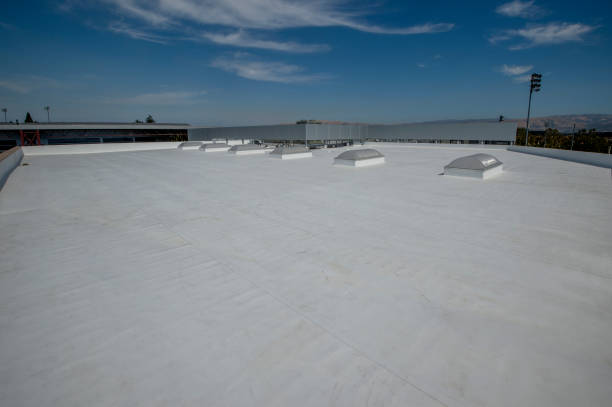 Best Green or Eco-Friendly Roofing Solutions  in Sargent, TX